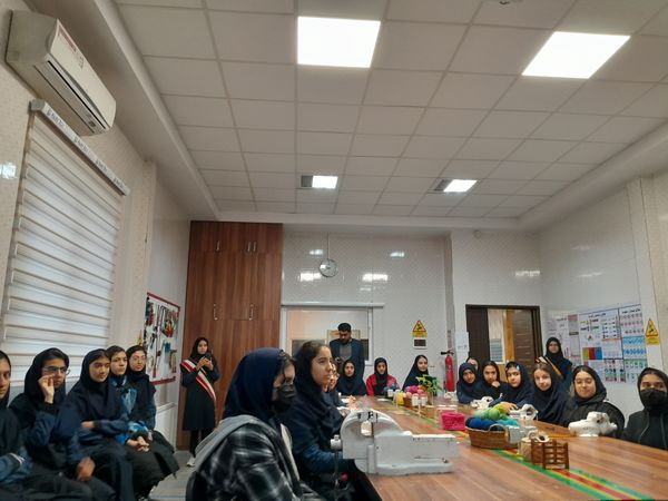 افتتاح طرح HSE برای اولین بار در کشور 