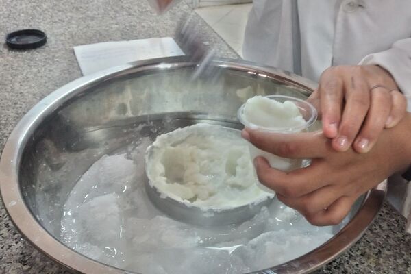 مزه شیرین علم، بستنی علمی