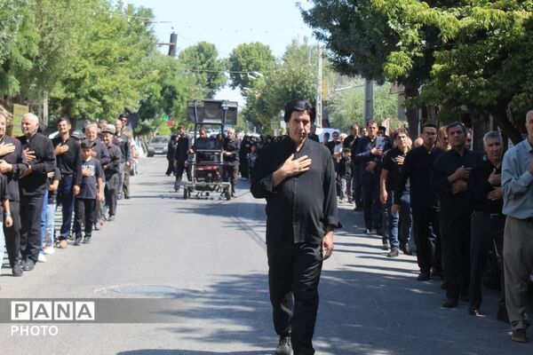 جاماندگان اربعین در ملکان؛ هم‌قدمی با کاروان عشق حسینی