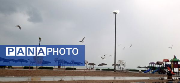 بارش باران چهره بندرعباس را پاییزی و دل‌انگیز کرد