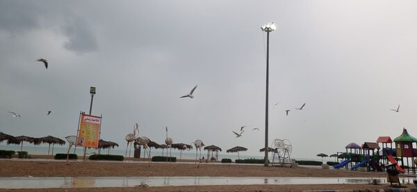 بارش باران چهره بندرعباس را پاییزی و دل‌انگیز کرد