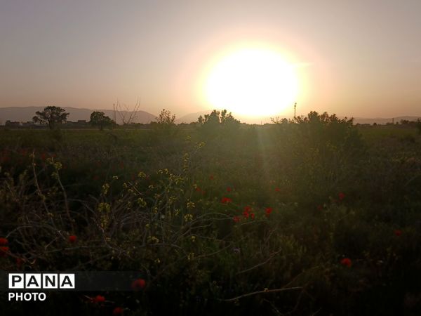 طبیعت چشم نواز روستای دهنو