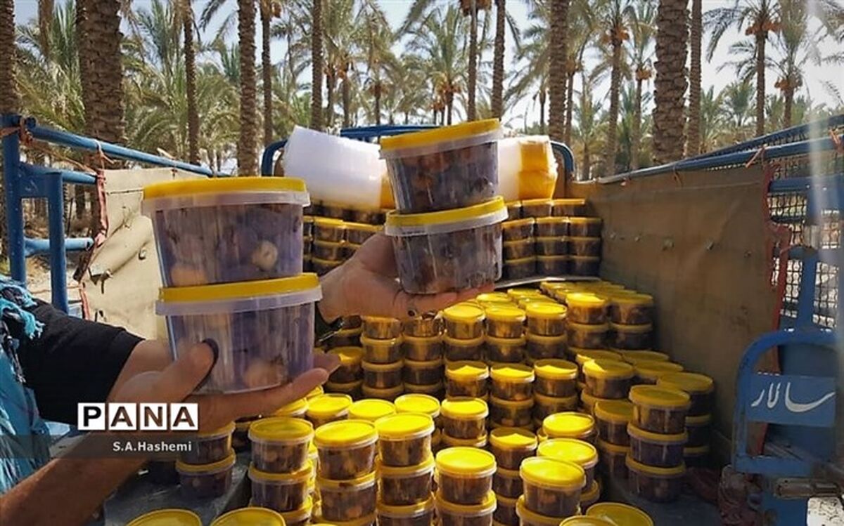 عرضه مستقیم ۱۵۰۰ تن خرما کمتر از نرخ مصوب در ماه رمضان