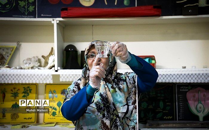همه اما و اگرها درباره «شبکه شاد»
