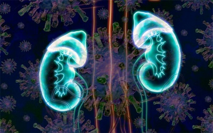 نارسایی کلیوی از عوارض جدی ابتلا به ویروس کووید۱۹