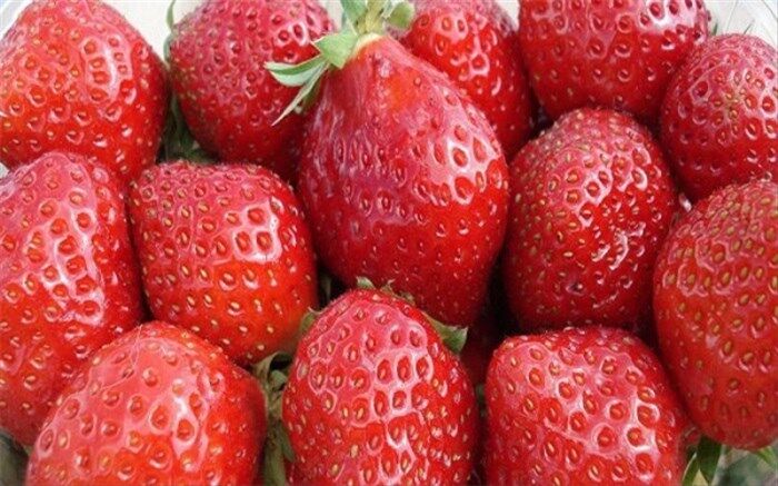 فواید حفاظتی مصرف توت و سیب و چای در برابر آلزایمر