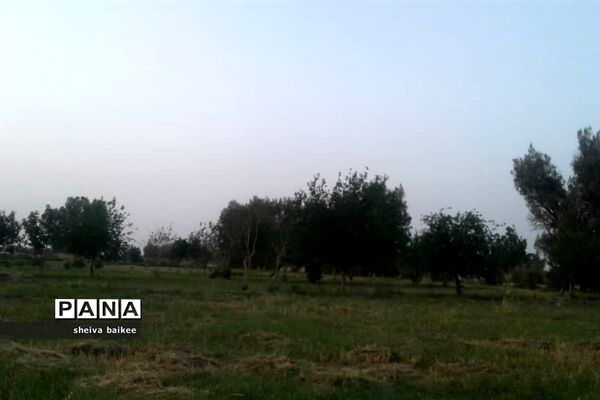 طبیعت زیبا و بکر سیستان پس از دو دهه خشکسالی