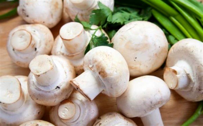 ایران در جایگاه ششم تولید قارچ در دنیا