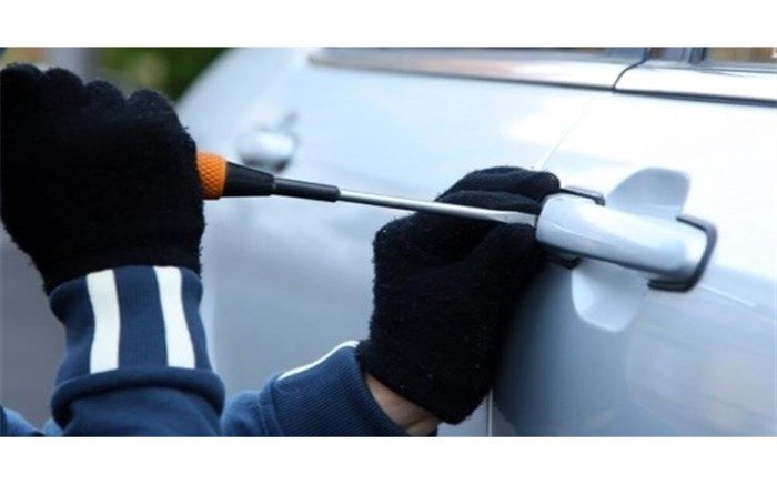 دستگیری یک سارق با کمک دختر بچه7 ساله در مرودشت