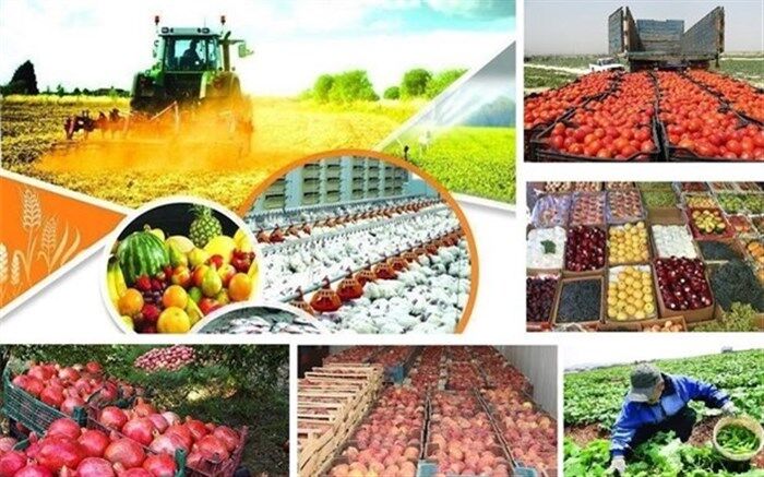 تشکیل ستاد تنظیم بازار در حوزه نهاده‌های دامی در وزارت جهاد