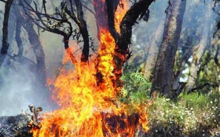 جنگل‌های گچساران در نبود بالگرد اطفای حریق همچنان می‌سوزند