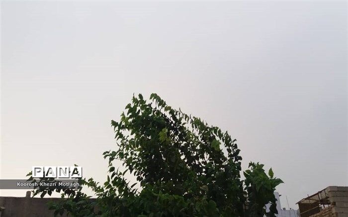طوفان به ۱۳۰ واحد مسکونی در آمل آسیب رساند