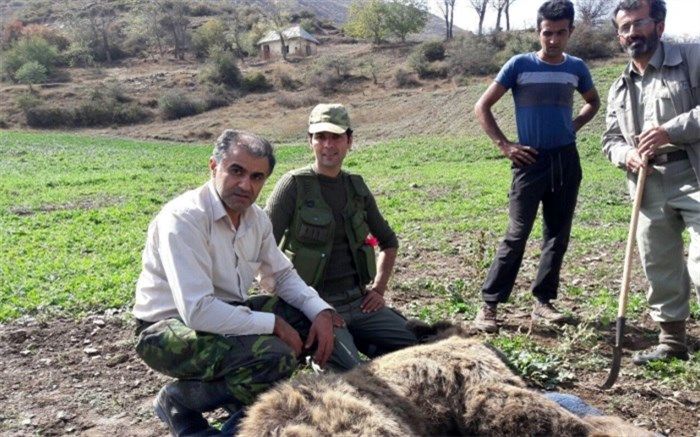 دوستی خاله خرسه طبیعت گردها با حیات‌وحش!