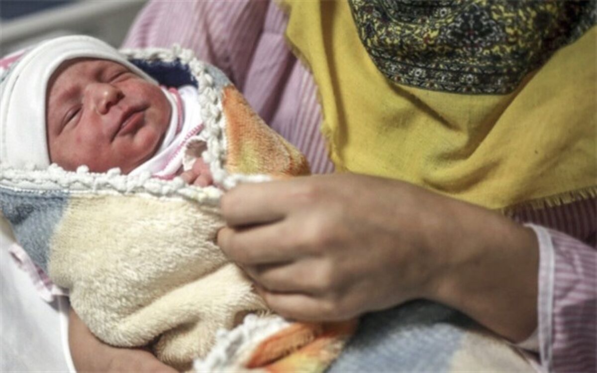 نوزاد عجول فاصله دلوار تا بوشهر را طاقت نیاورد