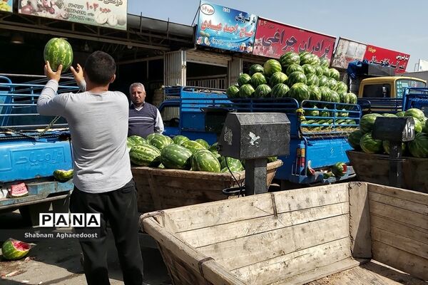 آغاز فصل گرما و رونق فروش هندوانه
