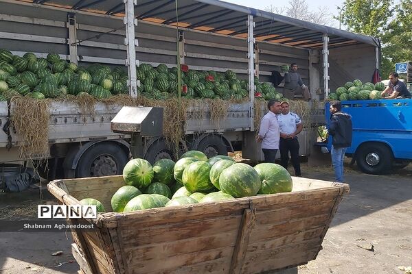آغاز فصل گرما و رونق فروش هندوانه