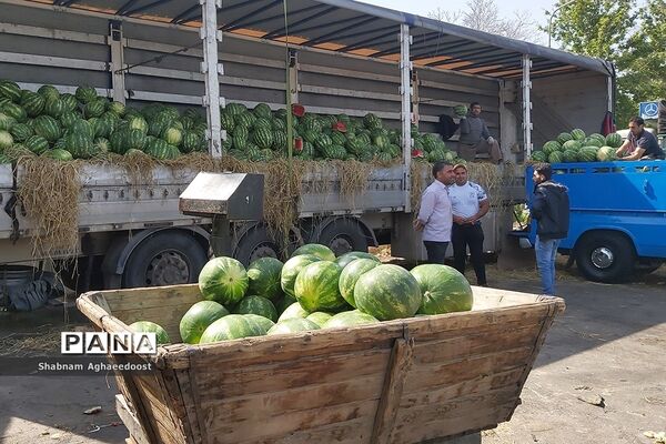 آغاز فصل گرما و رونق فروش هندوانه