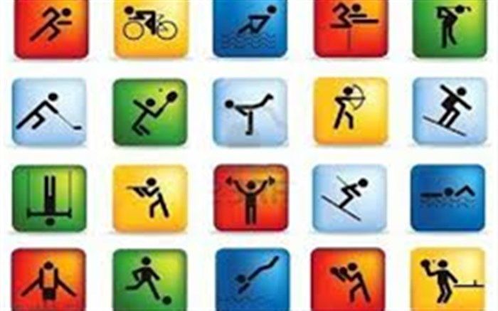 رییس جشنواره هدف:  49 هیئت ورزشی در برگزاری جشنواره هدف مشارکت کردند