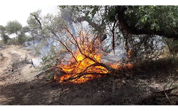 اعزام بالگرد آب‌پاش به اندیکا برای مهار آتش