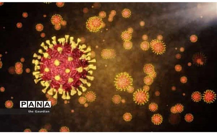 شناسایی  ۷۸۲مورد جدید مبتلا به کرونا ویروس  در خوزستان