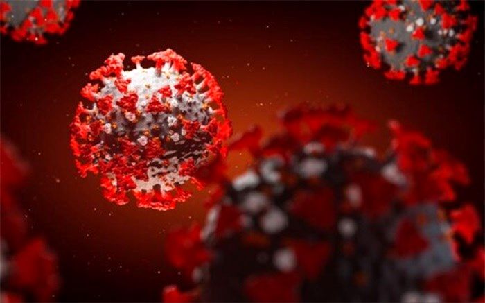 شناسایی 82 مورد جدید ابتلا به کروناویروس در استان فارس و افزایش مبتلایان به 6537 نفر