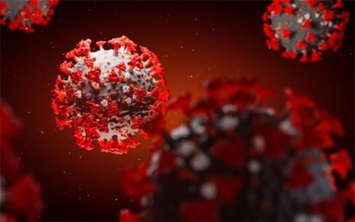 شناسایی 82 مورد جدید ابتلا به کروناویروس در استان فارس و افزایش مبتلایان به 6537 نفر