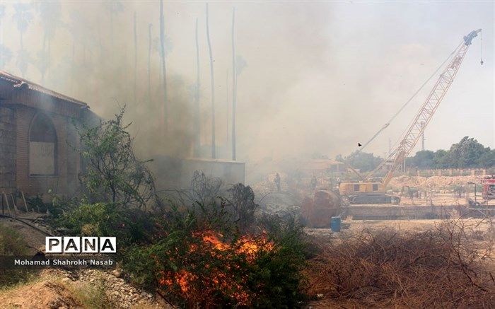 آتش سوزی فضای سبز در نزدیکی زندان اوین