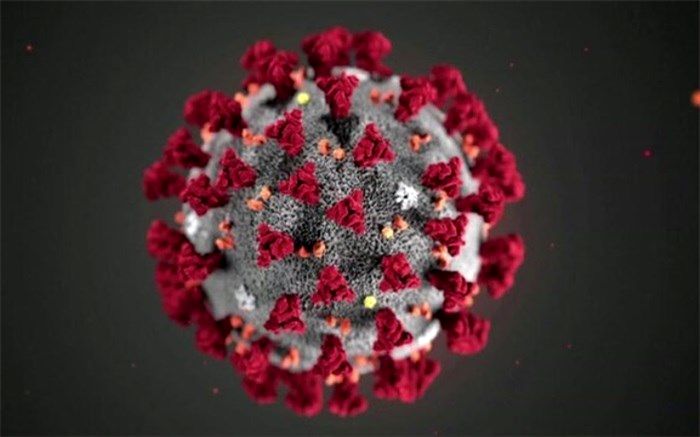 نام «کرونا» از کجا آمده است؟
