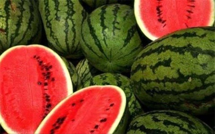 خرید «هندوانه به شرط چاقو» و خطر ابتلا به کرونا