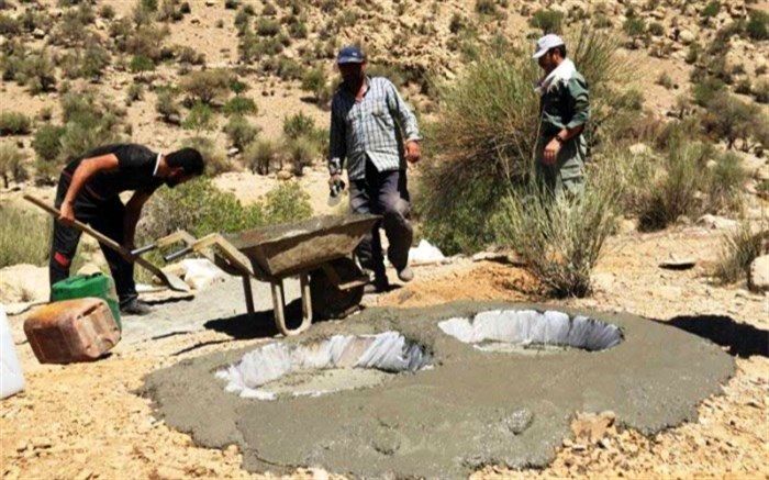 اینجا حشرات هم تشنه نمی‌مانند