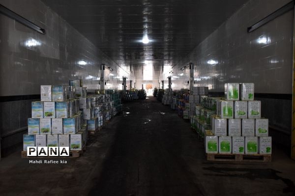 بازدید سازمان جهاد کشاورزى از نگهدارى و تولید پنیر لیقوان