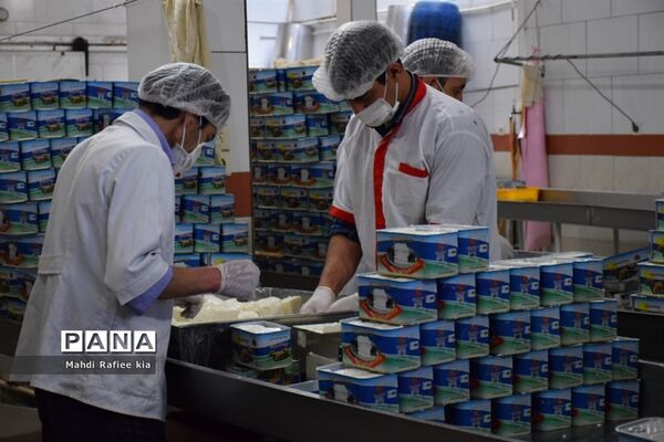 بازدید سازمان جهاد کشاورزى از نگهدارى و تولید پنیر لیقوان