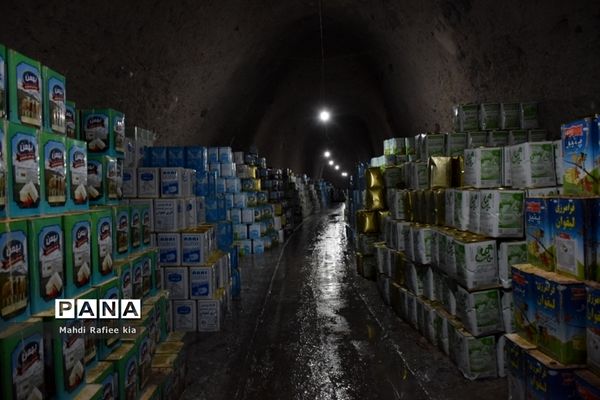 بازدید سازمان جهاد کشاورزى از نگهدارى و تولید پنیر لیقوان