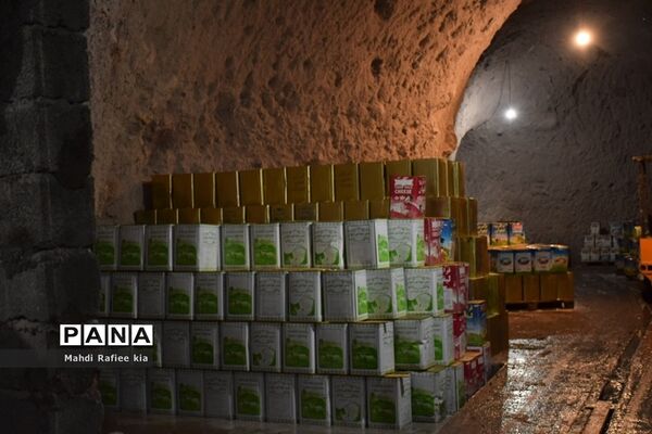بازدید سازمان جهاد کشاورزى از نگهدارى و تولید پنیر لیقوان