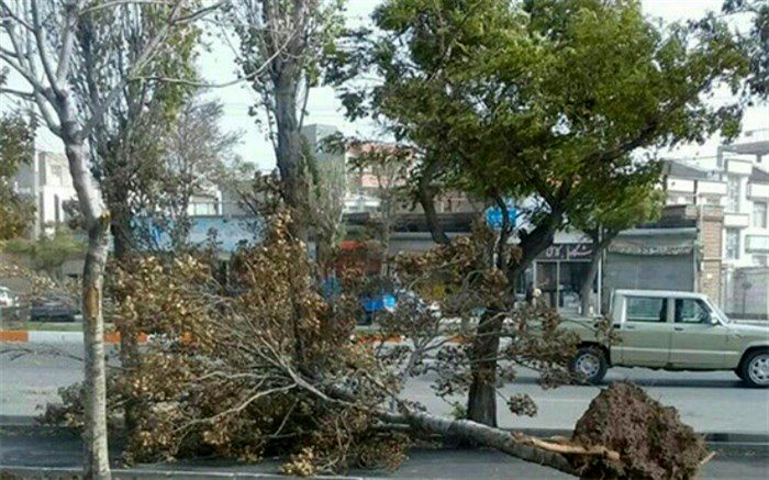 وزش باد‌های تند و نسبتا شدید، اردبیل را در می‌نوردد
