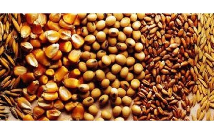 واردات نهاده های دام و طیور رشد 16 درصدی را تجربه کرد
