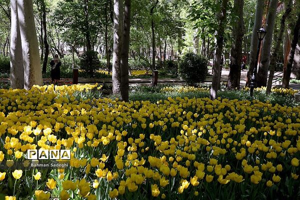 باغ ایرانی، بهشتی برای پایتخت نشینان