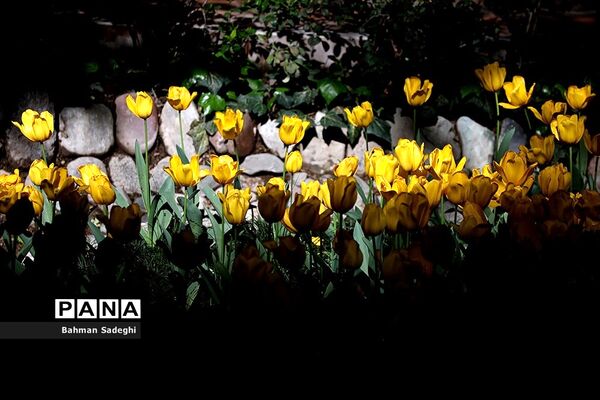 باغ ایرانی، بهشتی برای پایتخت نشینان
