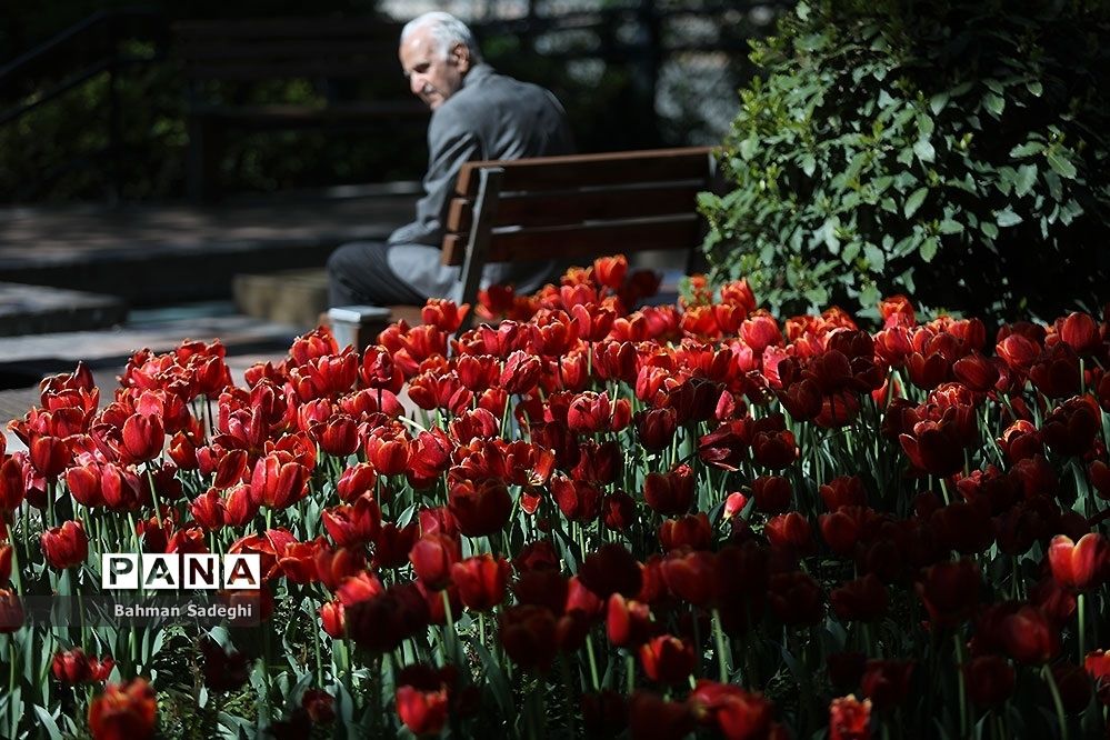 باغ ایرانی، بهشتی برای پایتخت نشینان