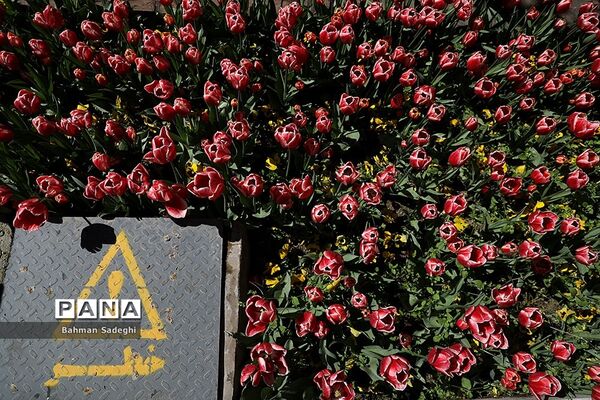 باغ ایرانی، بهشتی برای پایتخت نشینان