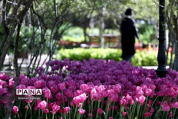 باغ ایرانی، بهشتی برای پایتخت نشینان