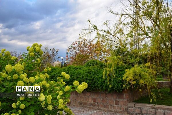 جلوه زیباى بهار در تبریز