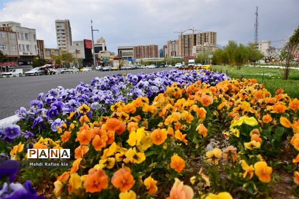 جلوه زیباى بهار در تبریز