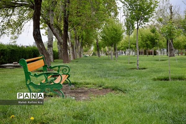 جلوه زیباى بهار در تبریز