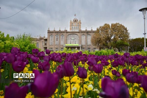 جلوه زیباى بهار در تبریز