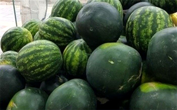 هندوانه های تریاکی به پایتخت نرسیدند