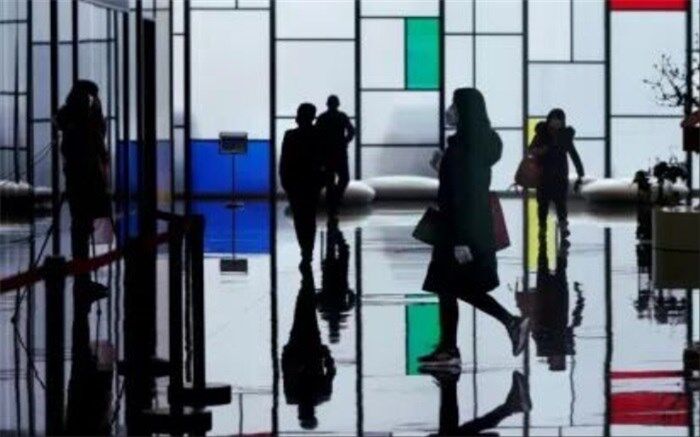 سازمان اداری استخدامی قواعد جدیدی برای دورکاری تدوین کند