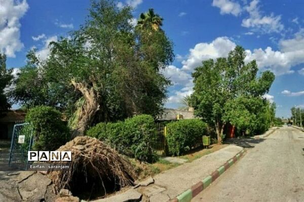 فراخوان عکاسی مردم و محیط زیست، ویژه دانش آموزان شهرستان امیدیه
