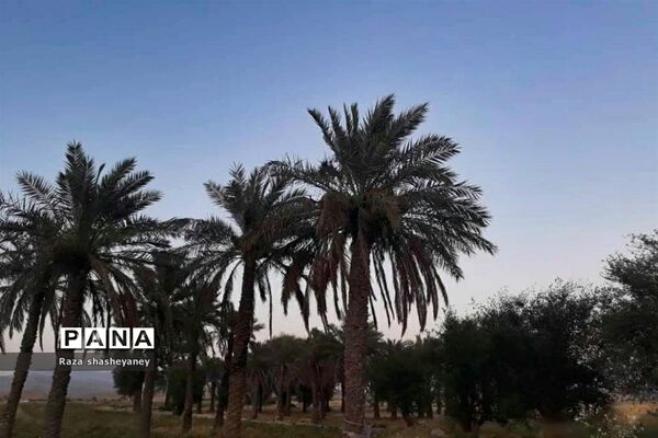 فراخوان عکاسی مردم و محیط زیست، ویژه دانش آموزان شهرستان امیدیه