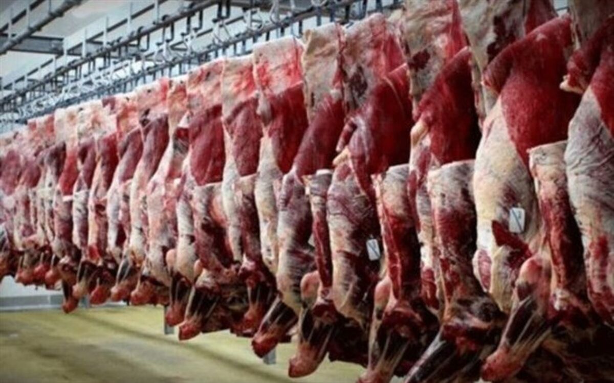 ۳۰.۹ هزار تن گوشت قرمز تولید شد